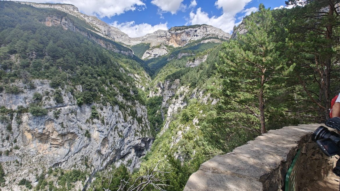 Usana y bosque de Banaston.