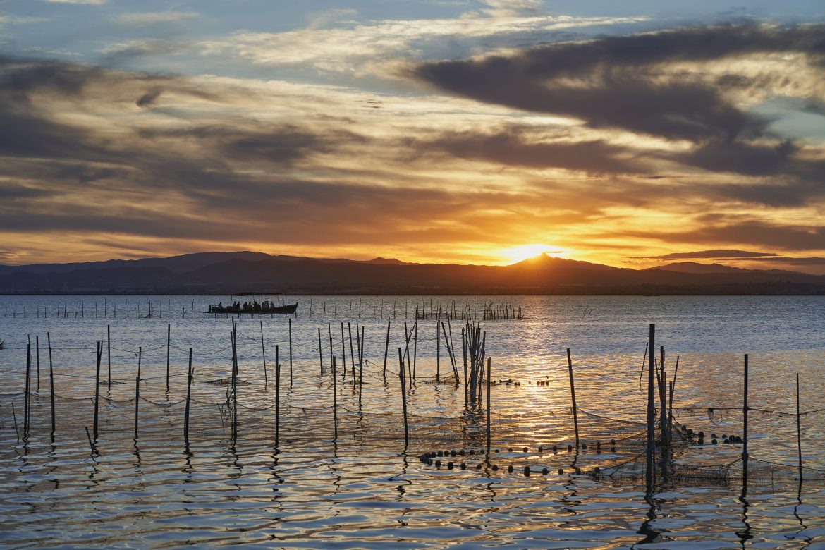 El sol se despide sobre el Lago de la Albufera, pintando el cielo con tonos dorados y naranjas mientras las aguas reflejan la serenidad del crepúsculo