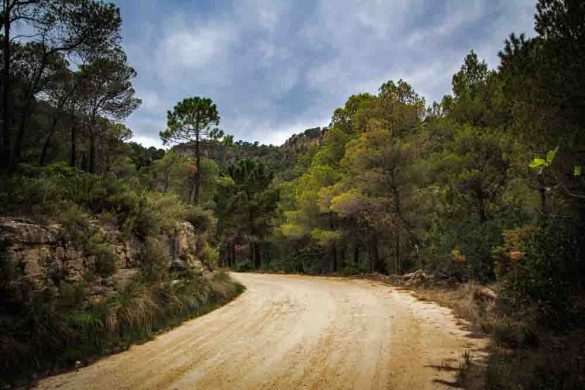 Bicorp, ruta del Barranco Moreno
