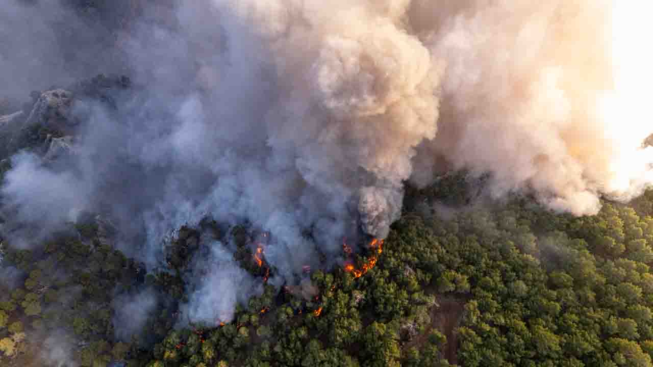 Cuando el monte que caminamos arde