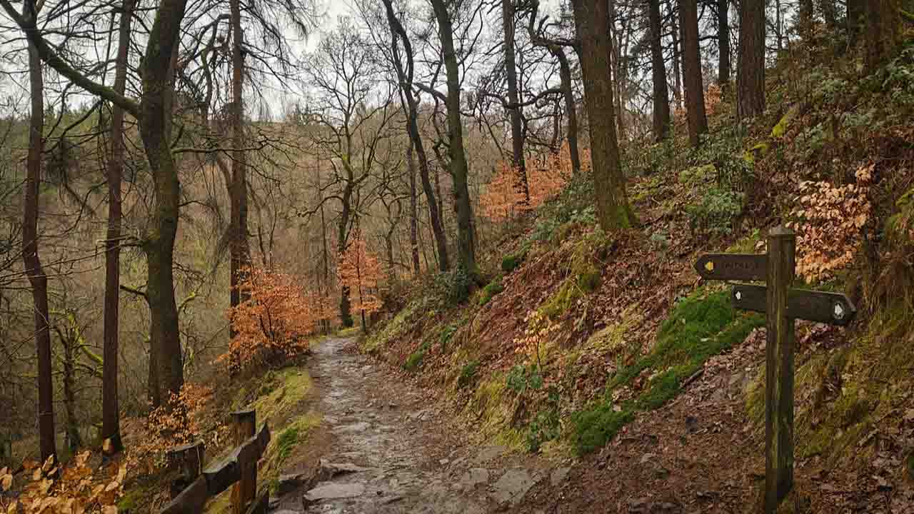 Señalización del sendero en Gradbach, el punto de inicio de la ruta hacia la 'Catedral verde' del Peak District